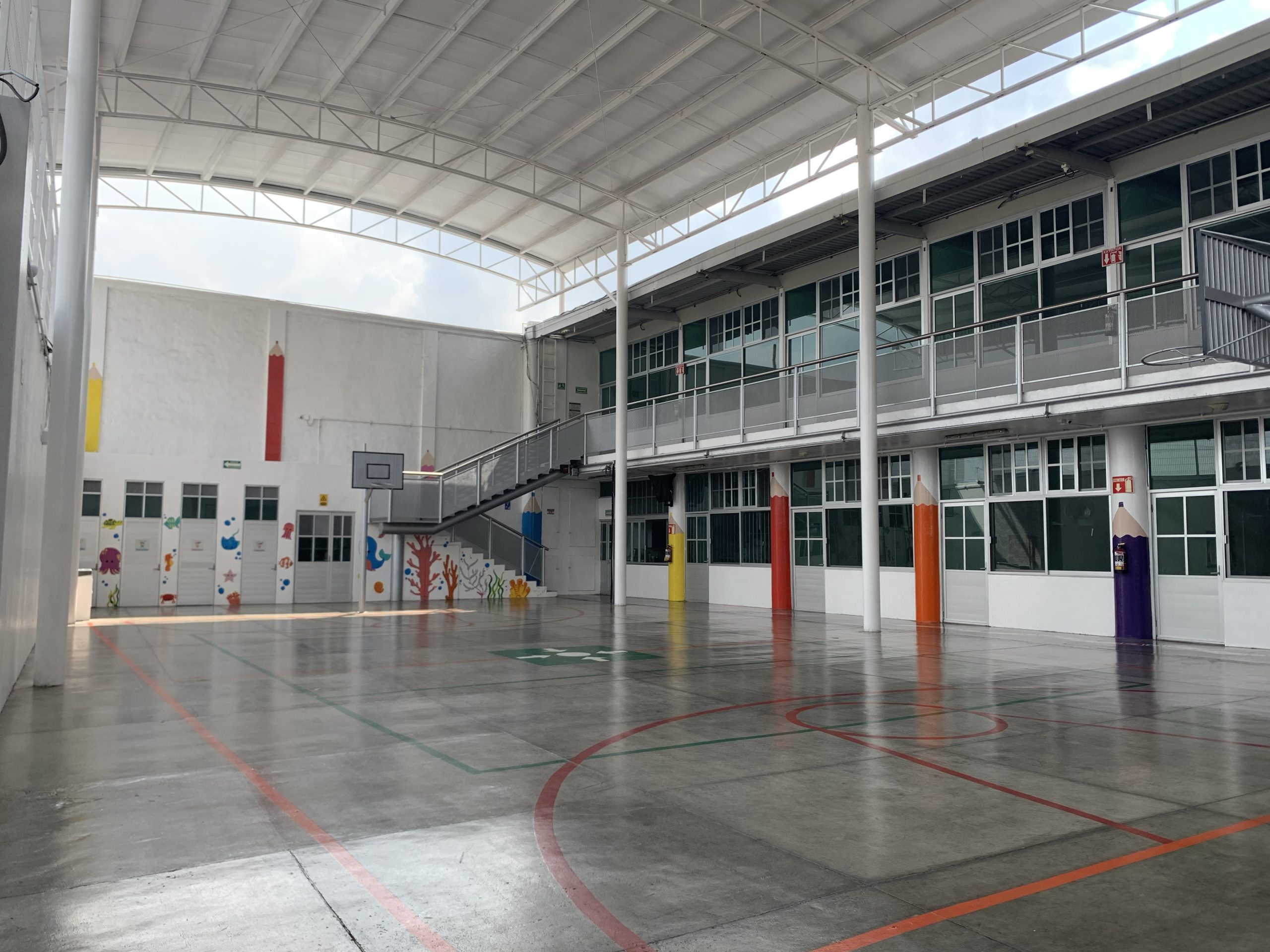 Alumno de Primaria Real Inglés